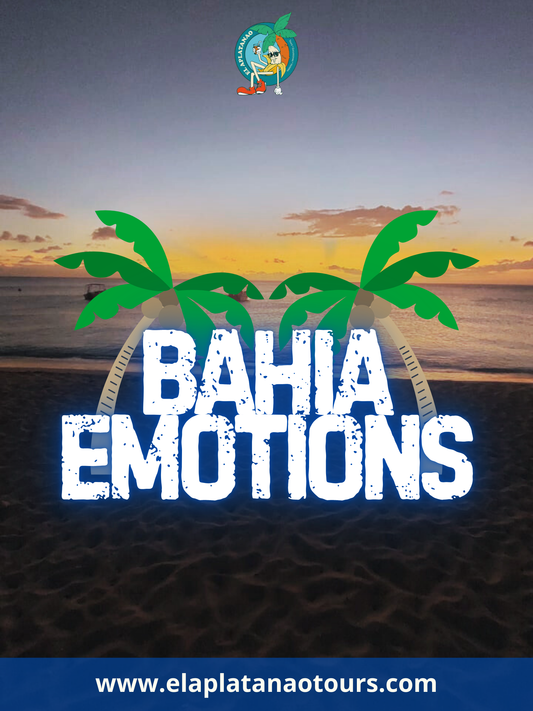 Bahaí de las Águilas Emotions